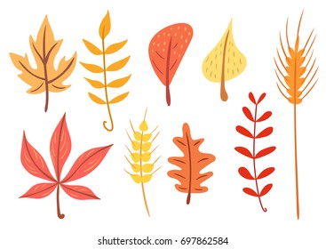 Simple flat autumn leaves and wheat ear set. Isolated vector illustration of white background.