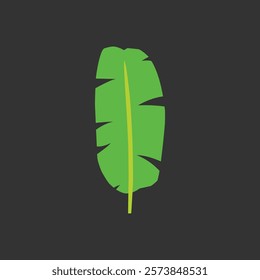 Simple flat banana leaf isolated on dark background