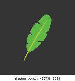 Simple flat banana leaf isolated on dark background