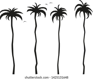 simple flat black and white tall palm trees icon vector illustration