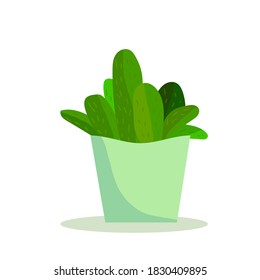 doodle simple de cactus plano en la ilustración vectorial de la olla aislada en fondo blanco. Plantas de la casa, flores en maceta, jardinería en el hogar, elemento de decoración en el interior de la habitación