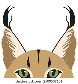 Simple flat Caracal design isolated white background. Wild cat head. Minimalism flat vector aesthetic illustration can used t-shirt print social media avatar template. EPS 10