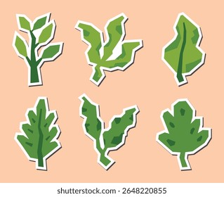 Simple Flat Color of  Leaves Icon Set in Cutout Style