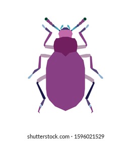 Simple flat colors purple beetle illustration vector