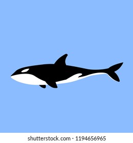 simple flat design of killer whale isolated on blue ocean background