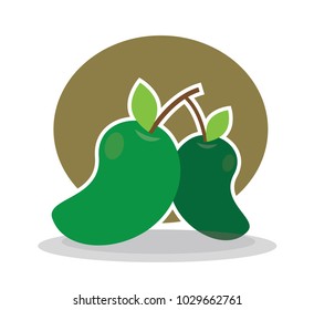 simple flat design of perfect ripe two green mango with circle background