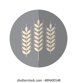 Simple Flat Design wheat icon with diagonal style.