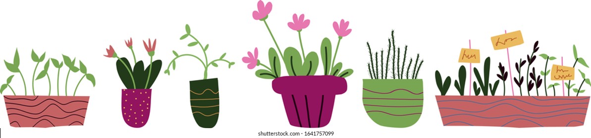 simple flat drawings of houseplants, flowerpots in pots.  Separate images for stickers, prints of leaflet decor.