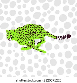 A simple flat graphic illustration of a wild cheetah cat portrait with big spots.
