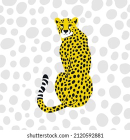 A simple flat graphic illustration of a wild cheetah cat portrait with big spots.

