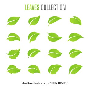 Simple Flat Green Leaf Design Vector The Concept Of Forest Preservation By Using Natural Products