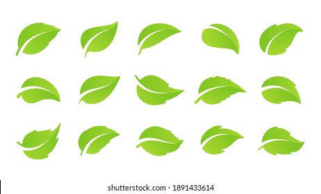 Simple flat green leaf design vector The concept of forest preservation by using natural products