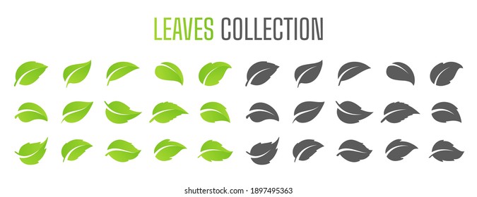 Simple flat green leaf design vector The concept of forest preservation by using natural products