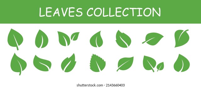 Simple flat green leaf design vector The concept of forest preservation by using natural products. Vector illustration.