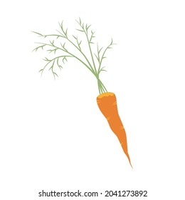 Simple flat icon of ripe carrot. Source of vitamin A. Element for harvest day. Clipart, object, item for seasonal design about gardening. Sticker for grocery store or market. Decor for vegetable shop