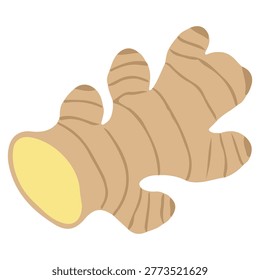 A simple, flat illustration of a ginger root, showing its characteristic shape and texture.