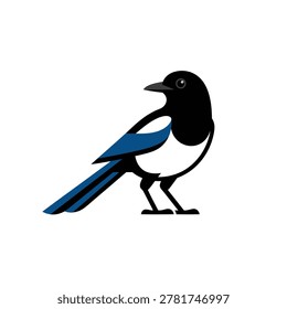 A simple, flat illustration of a magpie bird with black, white, and blue plumage, standing on its legs.