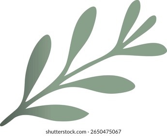 A simple flat illustration of a muted green botanical branch with stylized oval leaves on a black background.