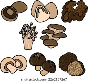 Simple flat illustration set that contains mushroom illustrations