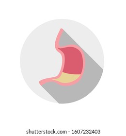 Simple flat illustration of a stomach on a white background. 