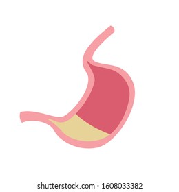  Simple flat illustration of a stomach on a white background. 