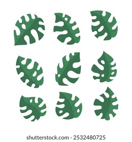 Simple flat leaves illustration set 