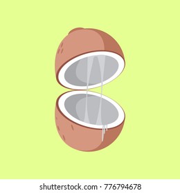 Simple Flat Open Coconut Vector Illustration