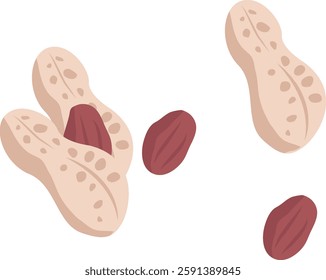 Simple and flat peanut and peanut shell illustration