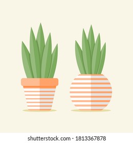 Simple flat Plant pot design 
