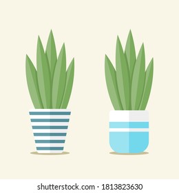 Simple flat Plant pot design 
