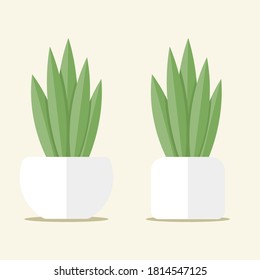 Simple flat Plant pot design 