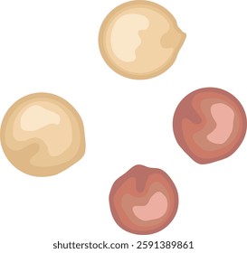 Simple and flat quinoa grain illustration