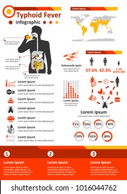 Simple Flat Style Infographics Components For Health Education Poster About Typhoid Fever, Infectious Disease Caused By Salmonella Typhii Bacteria That Spread By Fecal-oral Route.