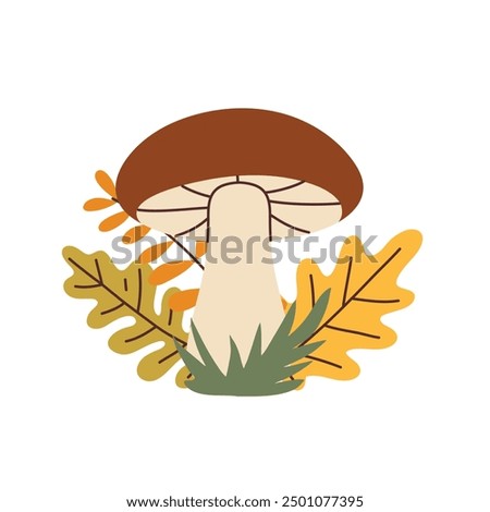 Image, Stock Photo Little mushrooms group (Schizophyllum commune) on tree trunk