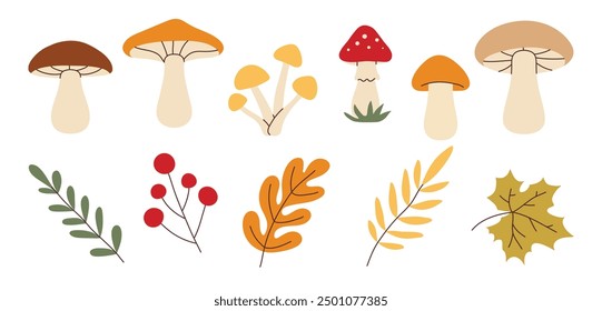 Simple flat style mushrooms and autumn leaves set. Hand drawn cute and cozy design elements. Fall, autumn season