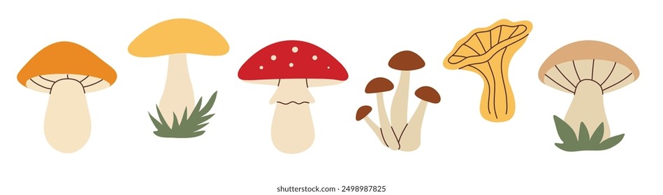 Simple flat style mushrooms set. Hand drawn cute and cozy design elements. Fall, autumn season