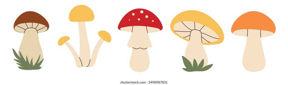 Simple flat style mushrooms set. Hand drawn cute and cozy design elements. Fall, autumn season