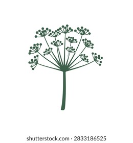 A simple flat vector drawing of a wild fennel or dill umbel flower head in dark green isolated on a plain background