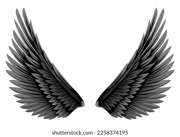 Simple flat vector illustration of black and white wings isolated on white