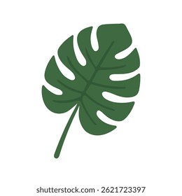 Simple flat vector illustration of a green monstera leaf, ideal for tropical, botanical, summer, or nature-themed projects and graphics