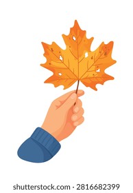 Simple flat vector illustration of a hand holding a colorful autumn maple leaf, isolated on a white background, seasonal fall nature concept.
