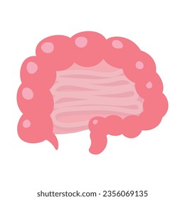 Simple flat vector illustration of the intestine. A healthy intestine isolated on a white background. The body for the design of commercials. Vector illustration. 10 eps