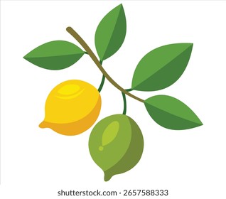 A simple, flat vector illustration of a lemon and lime hanging on a branch with leaves.