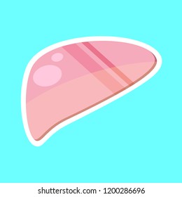 Simple flat vector illustration of a liver