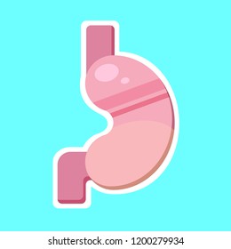 Simple flat vector illustration of a stomach