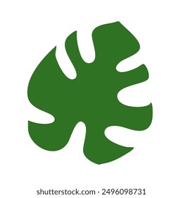simple flat vector of the long green frond leaf on a white background