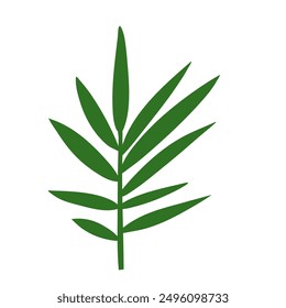 simple flat vector of the long green frond leaf on a white background