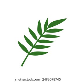 simple flat vector of the long green frond leaf on a white background