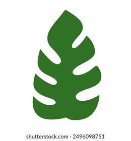 simple flat vector of the long green frond leaf on a white background
