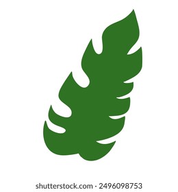 simple flat vector of the long green frond leaf on a white background